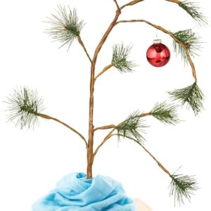 ProductWorks 24-Inch Peanuts Charlie Brown Musical Christmas Tree with Linus Blanket Visit the ProductWorks Store 4.7 4.7 out of 5 stars    4,321 ratings Amazon's Choice in Christmas Trees by ProductWorks 5K+ bought in past month $20.99 $43.80 Shipping & Import Fees Deposit to Nigeria